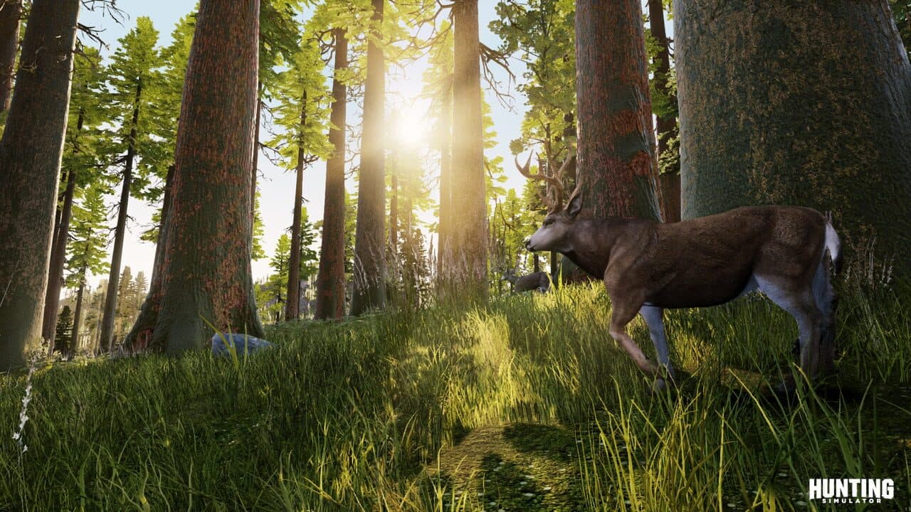 Hunting Simulator thumbnail 4