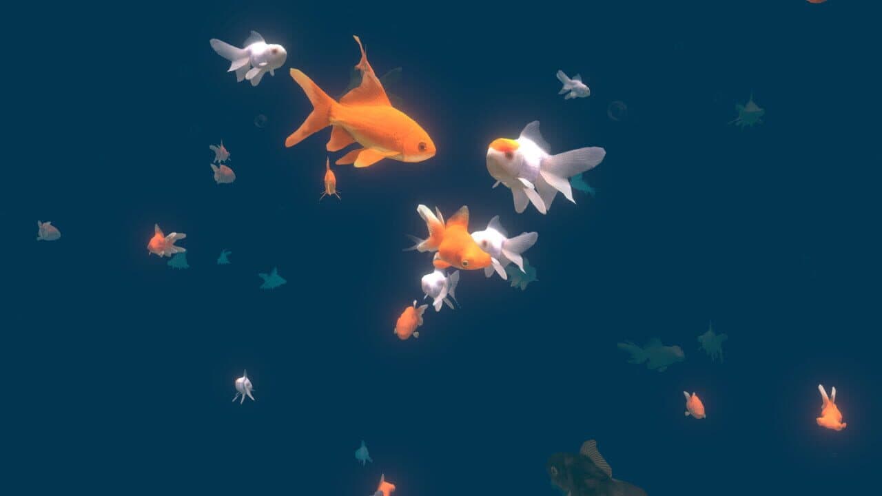 VR Aquarium Miyabi thumbnail 5