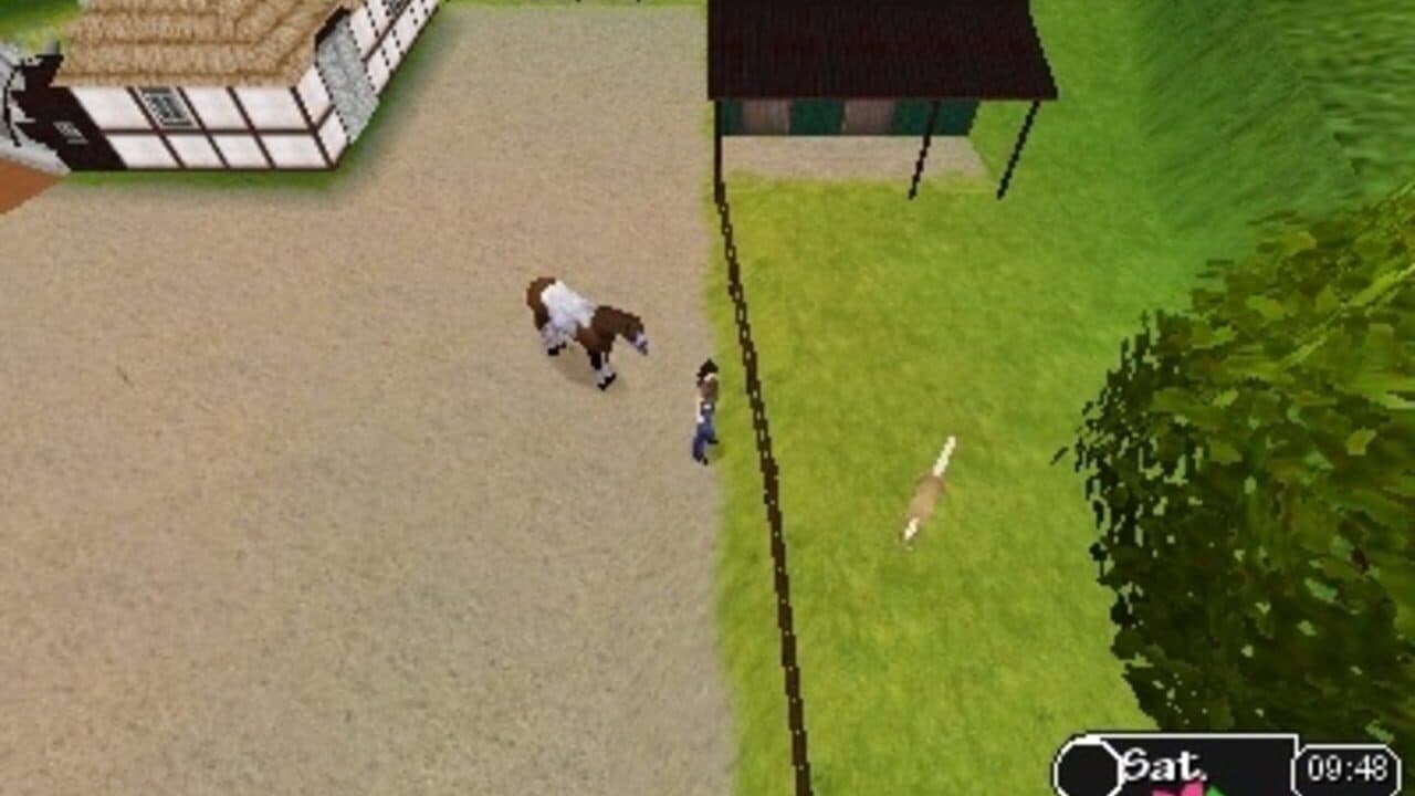 Best Friends: My Horse 3D thumbnail 6