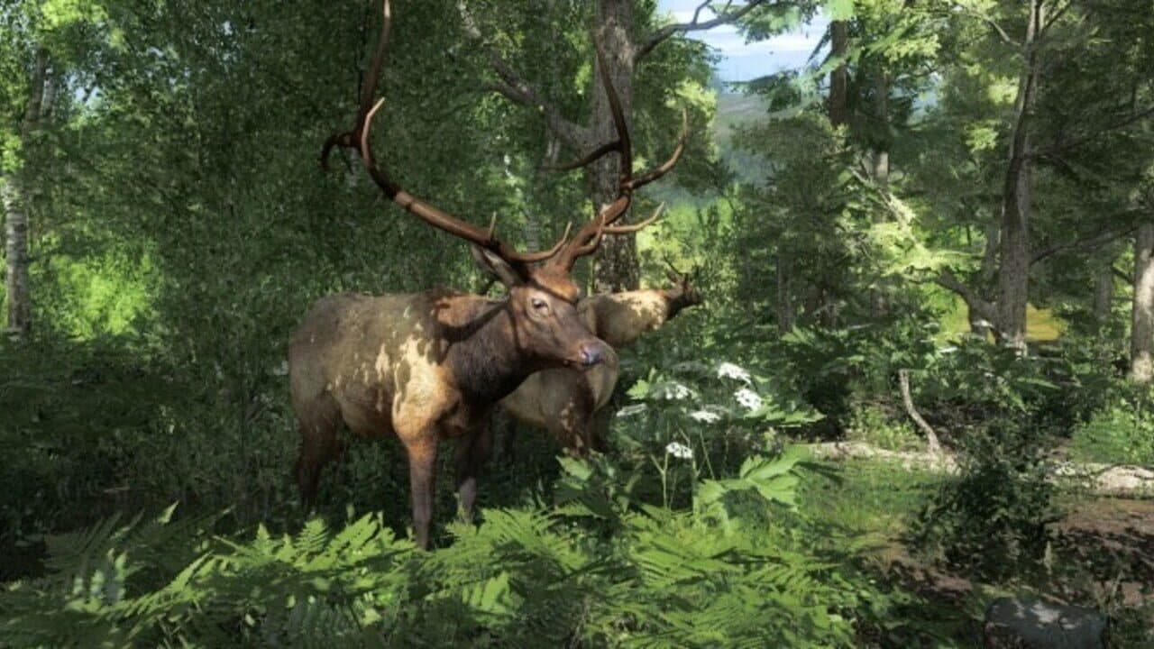 TheHunter Classic thumbnail 4