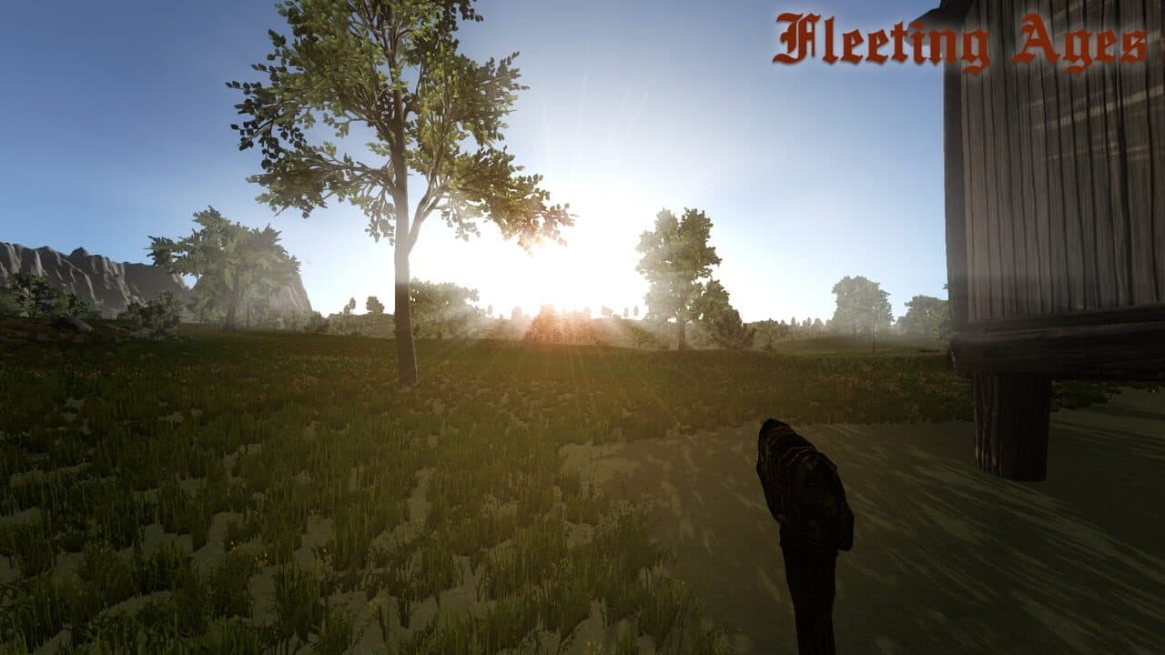 Fleeting Ages thumbnail 3