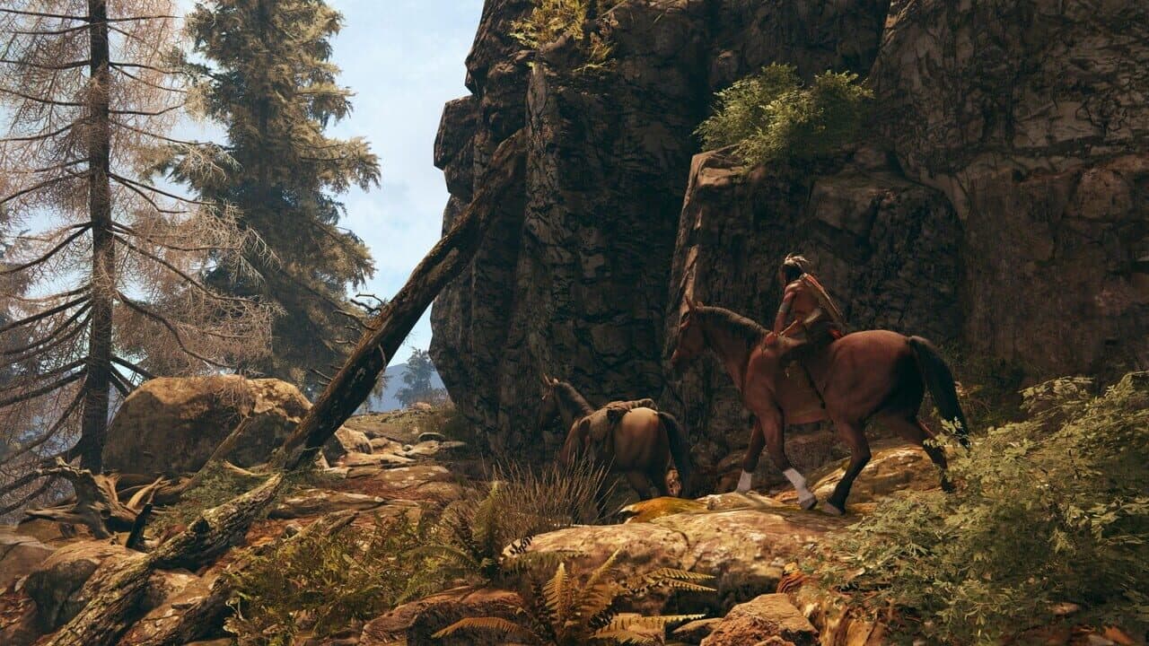 This Land Is My Land thumbnail 2