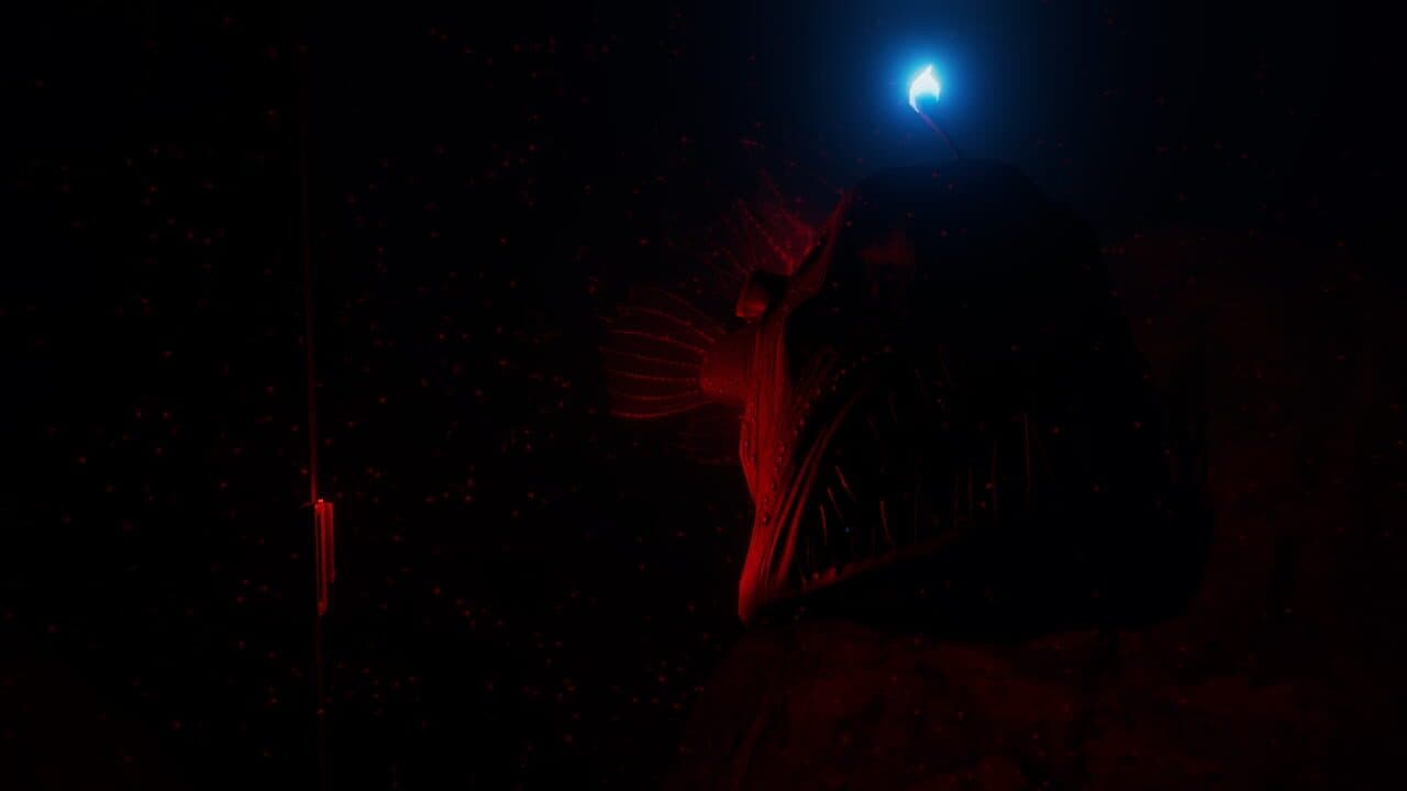 Beyond Blue thumbnail 6