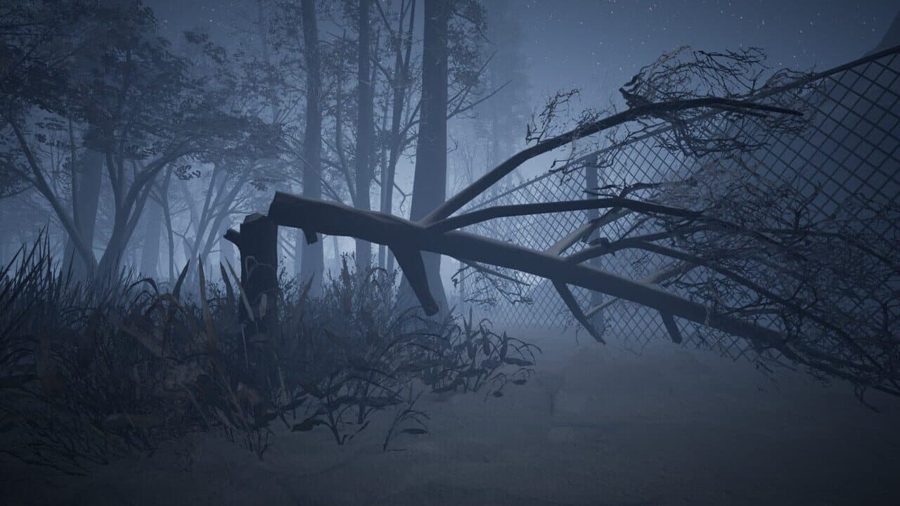 Raw Footage thumbnail 3