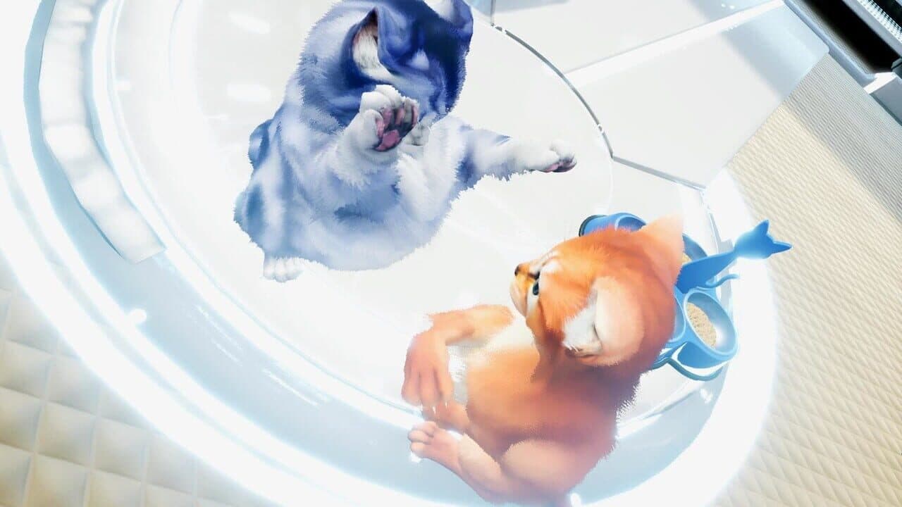 Kitten'd thumbnail 5