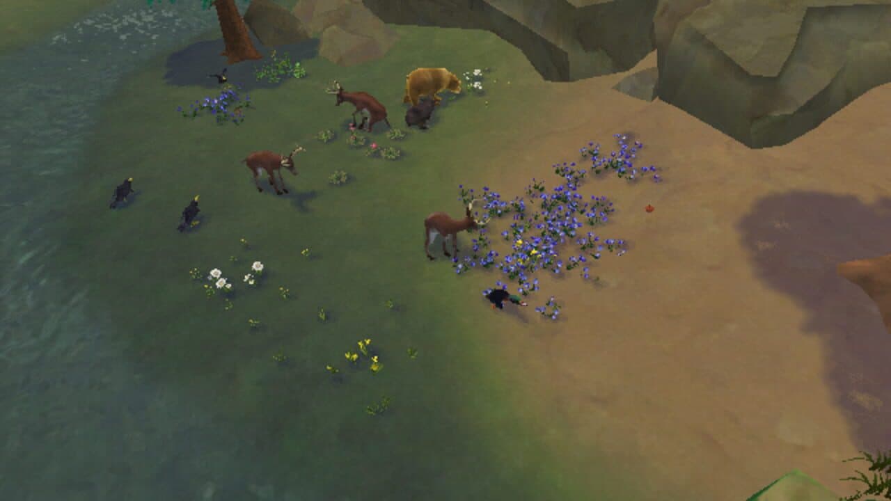 SimAnimals thumbnail 11