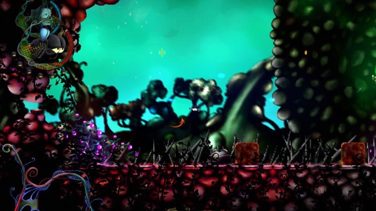 Death and the Fly thumbnail 4