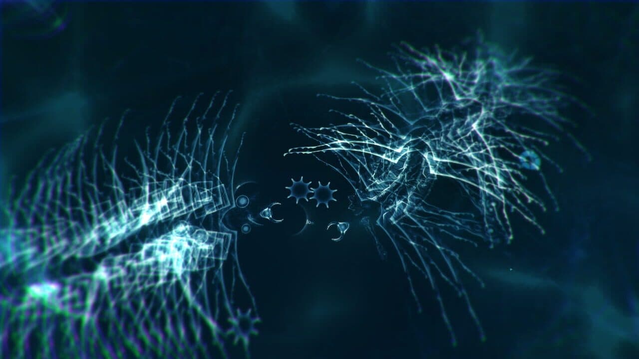 Sparkle Zero thumbnail 3