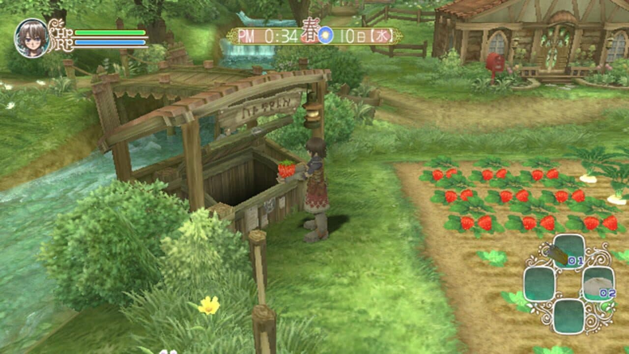 Rune Factory Frontier thumbnail 4
