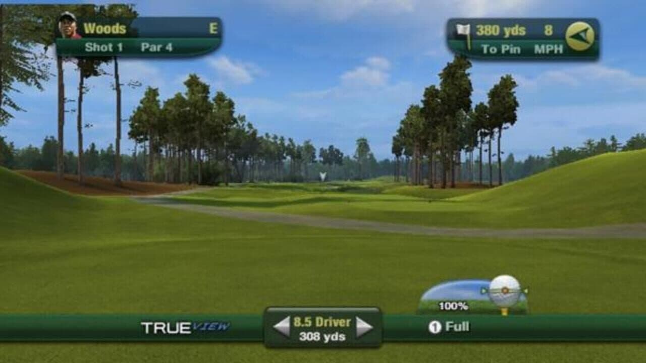 Tiger Woods PGA Tour 11 thumbnail 8