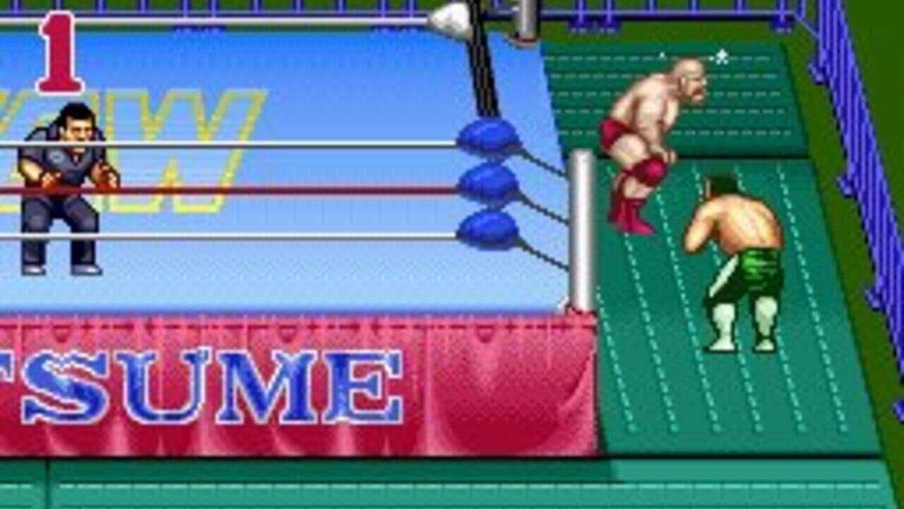 Natsume Championship Wrestling thumbnail 5