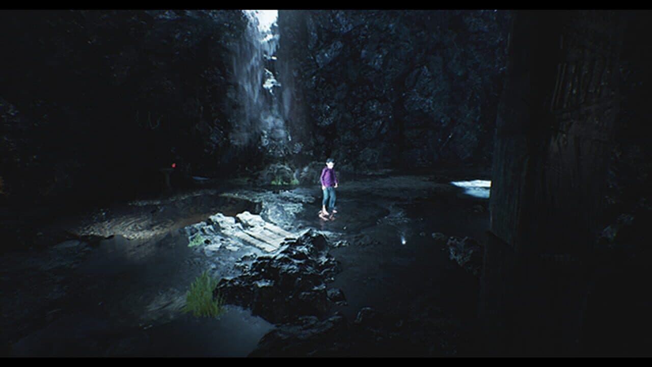 The Jimmy's Souls screenshot 1