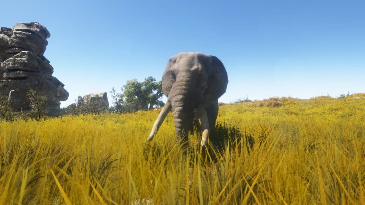 Animallica thumbnail 3