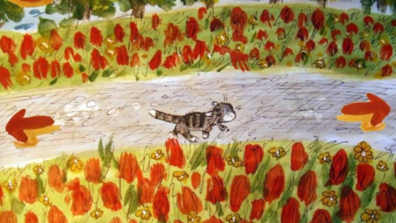 Kitten Adventures in City Park thumbnail 4