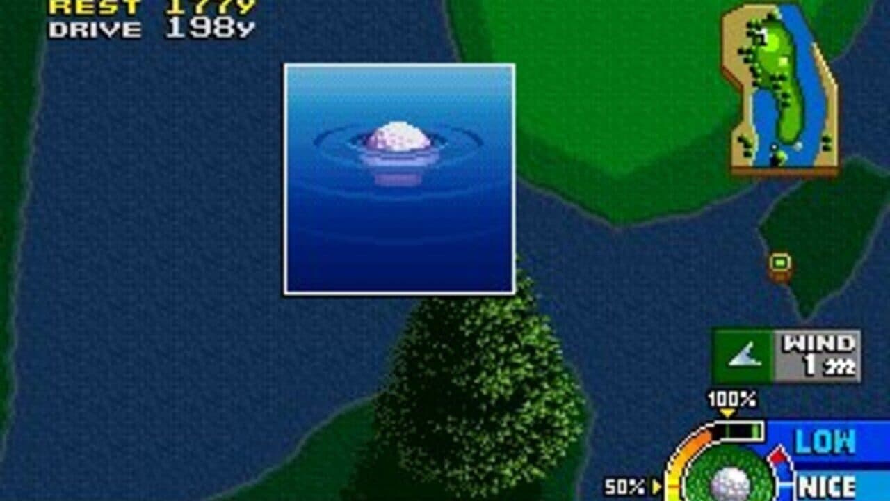 Neo Turf Masters thumbnail 4