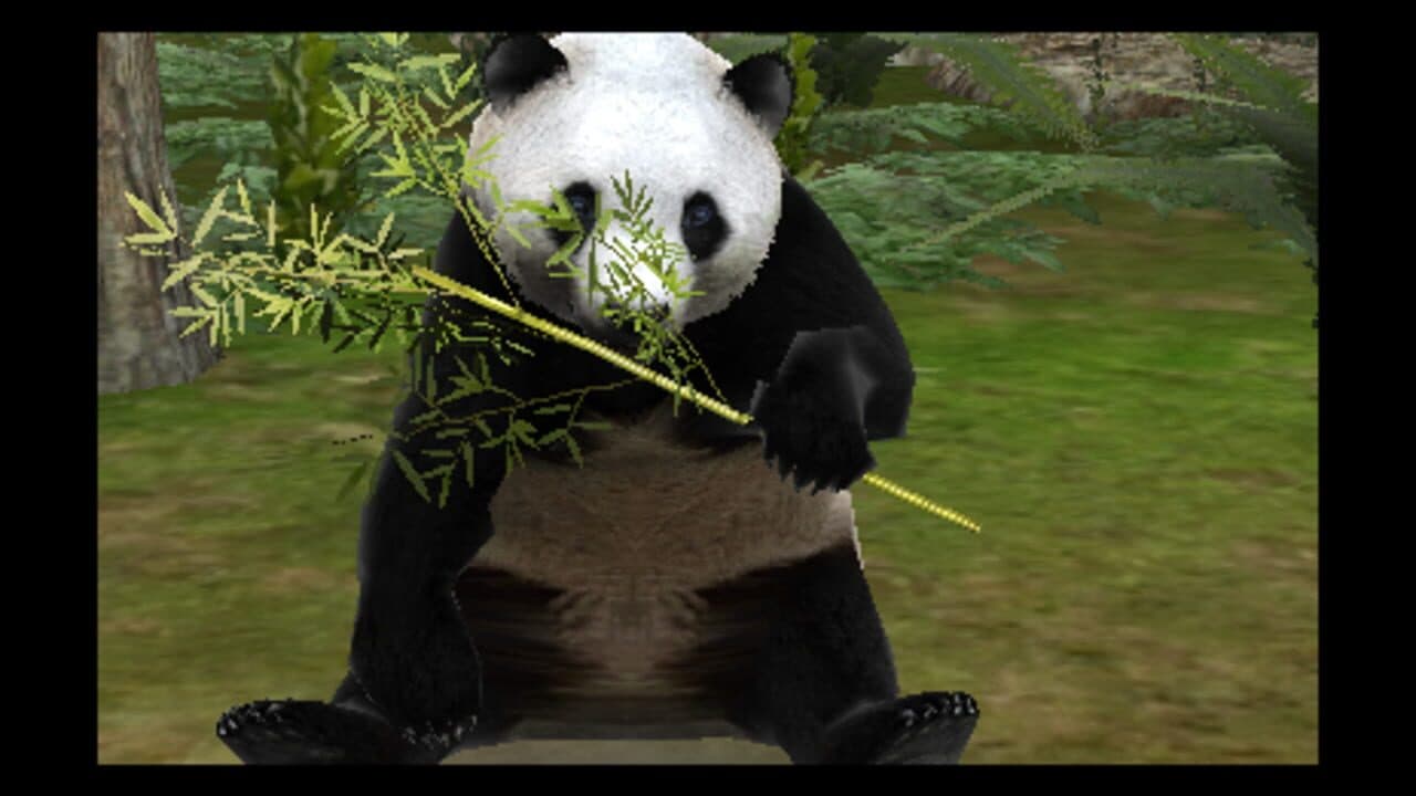 Zoo Resort 3D thumbnail 6