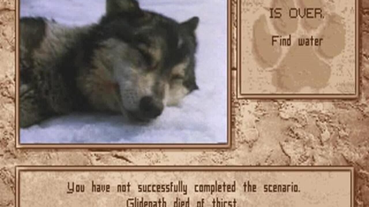 Wolf thumbnail 3