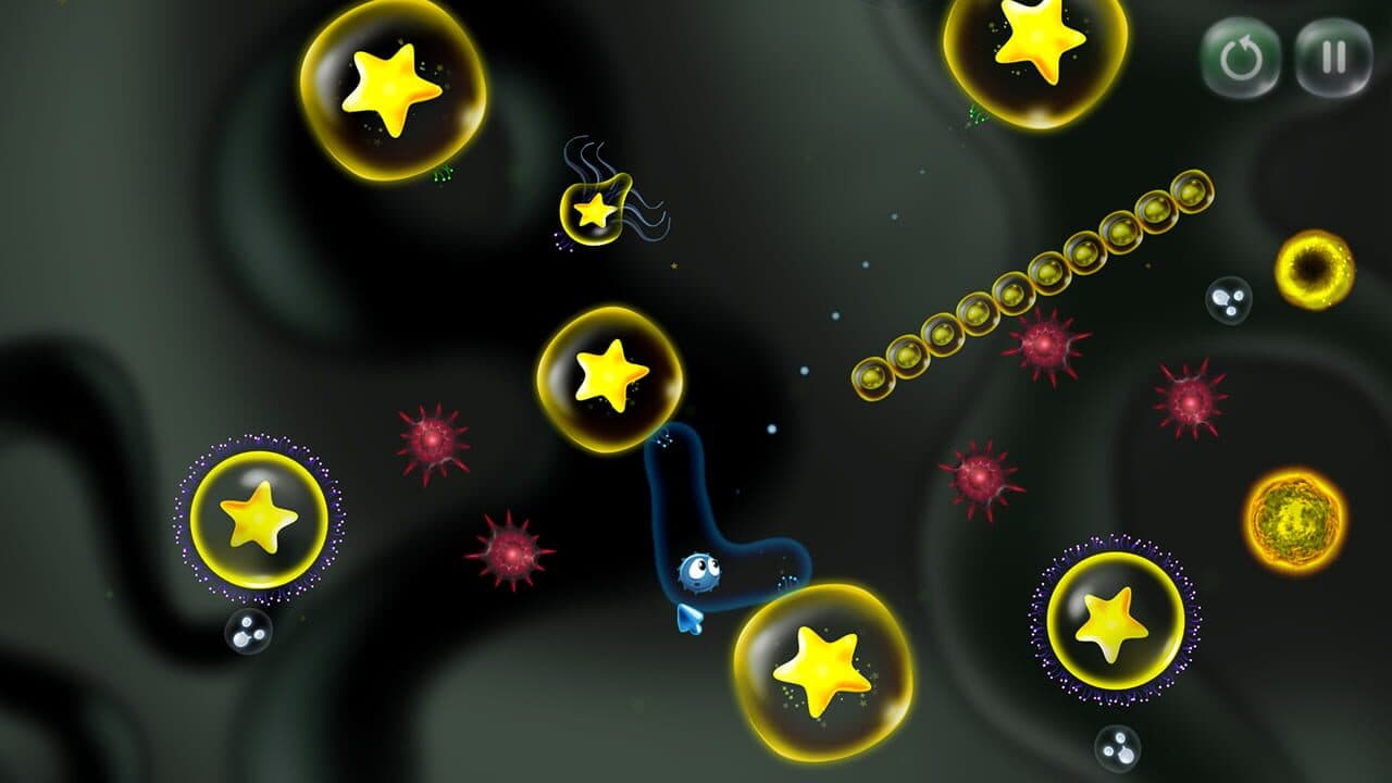 Cyto thumbnail 4