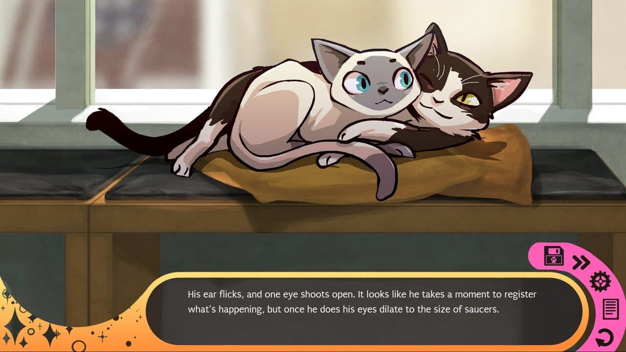 Hustle Cat thumbnail 3