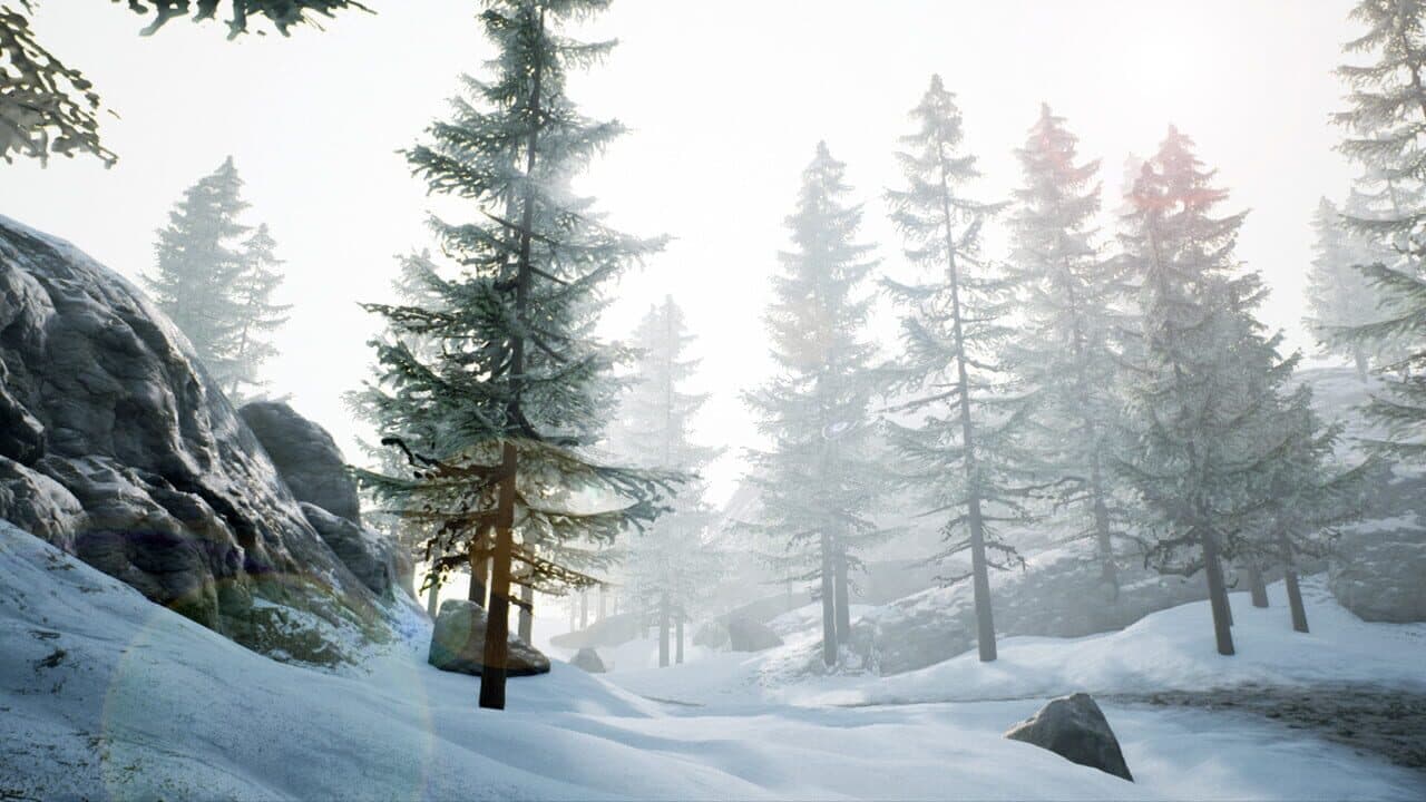 The Survivors thumbnail 3