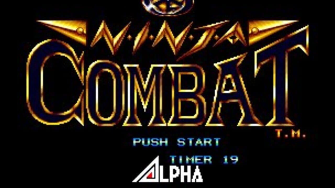 Ninja Combat thumbnail 7