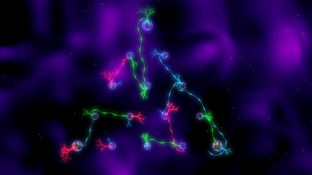 R.O.O.T.S thumbnail 4
