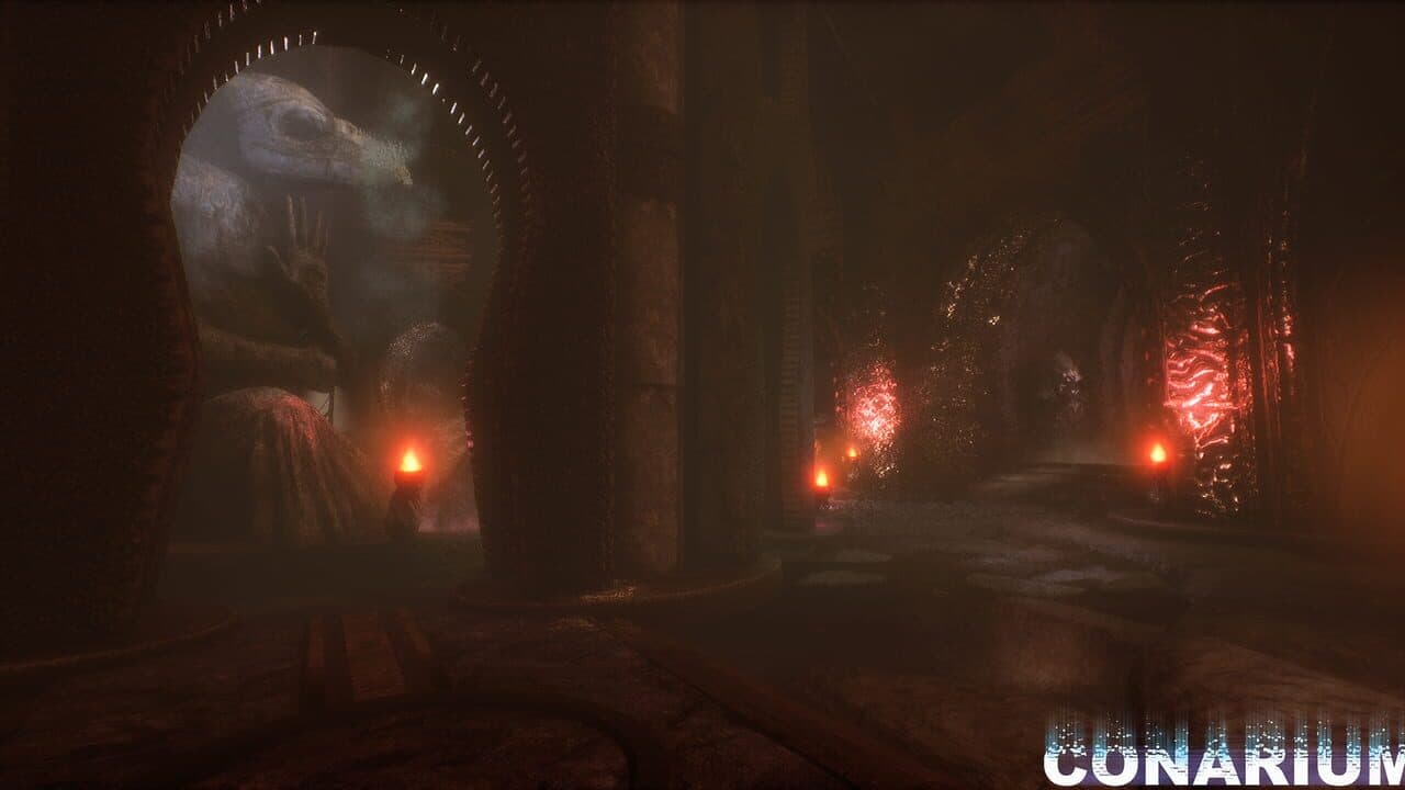 Conarium thumbnail 3