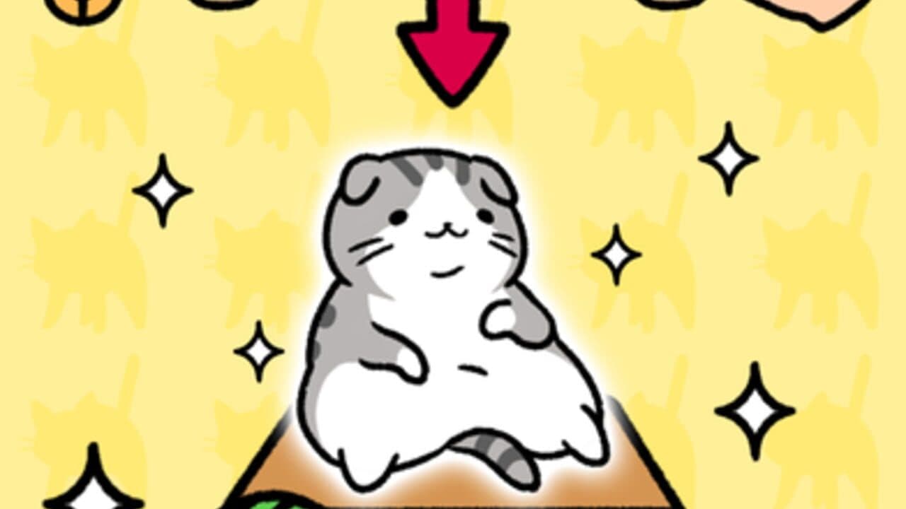 Cat Condo thumbnail 5