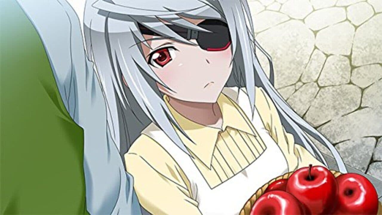 Infinite Stratos 2: Love and Purge thumbnail 5