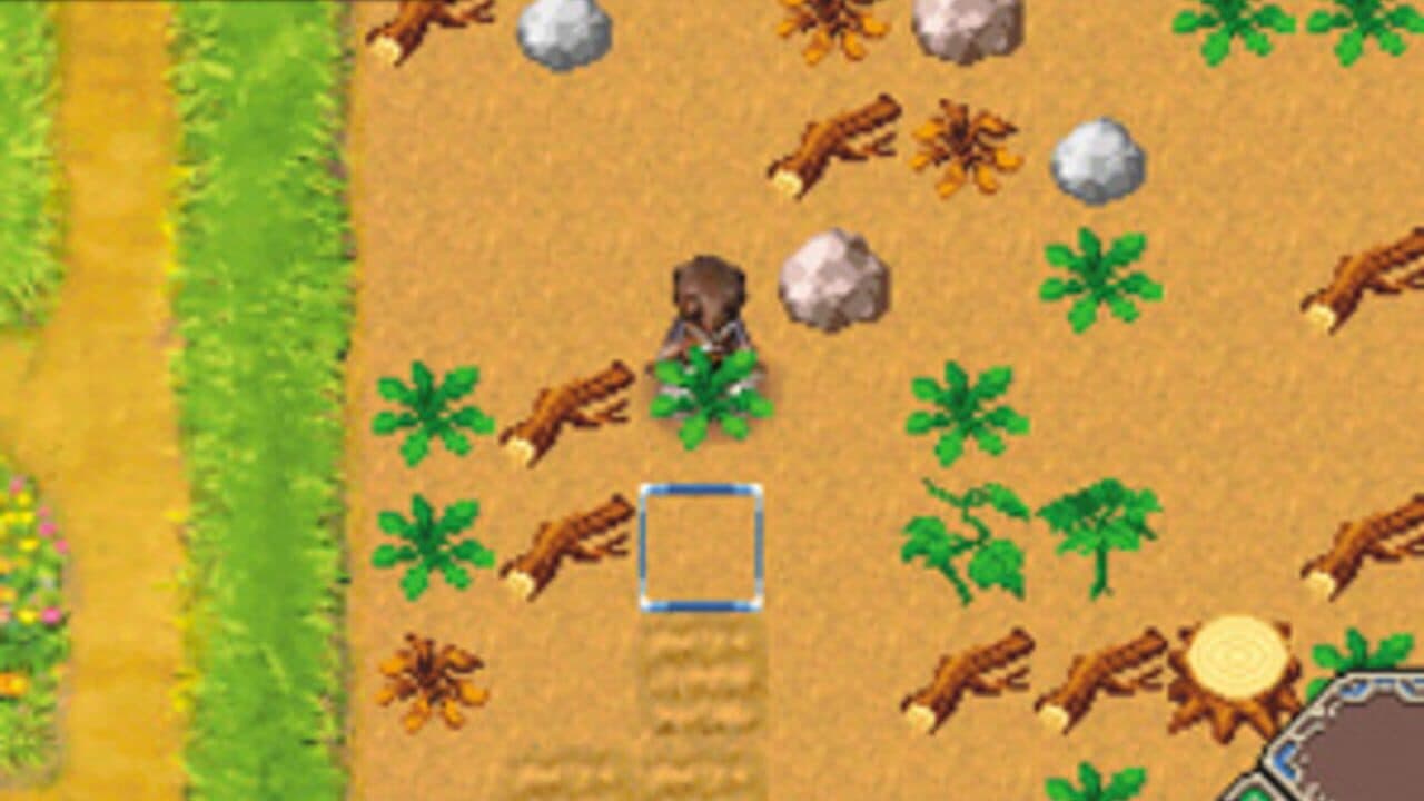 Rune Factory: A Fantasy Harvest Moon thumbnail 6