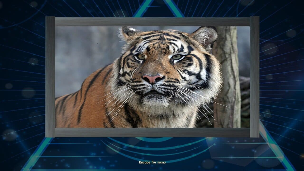 Trials of the Illuminati: Amazing Wildlife Jigsaws thumbnail 5