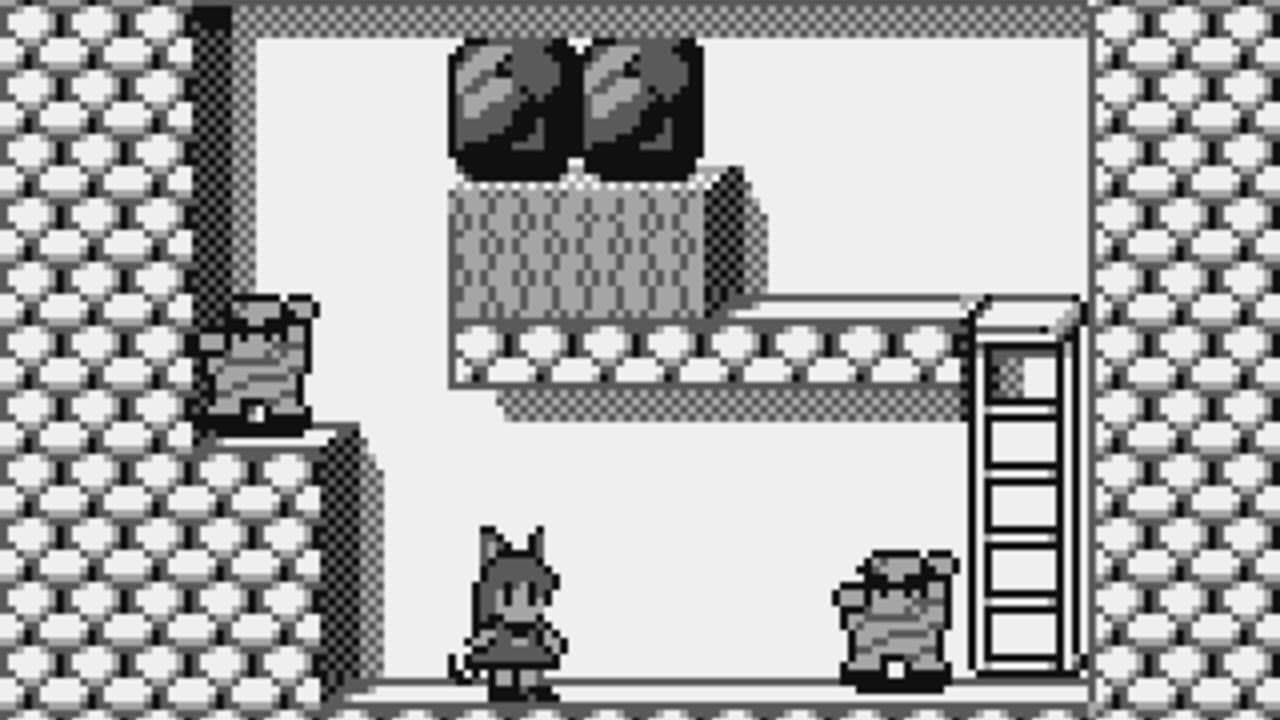 Catrap thumbnail 5