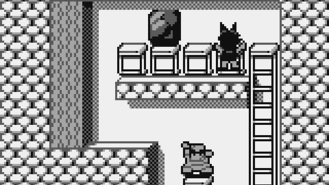 Catrap thumbnail 3