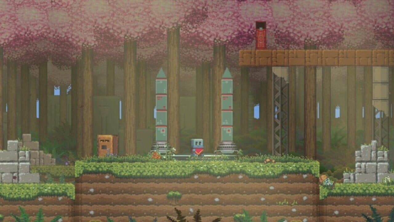 Poncho thumbnail 9
