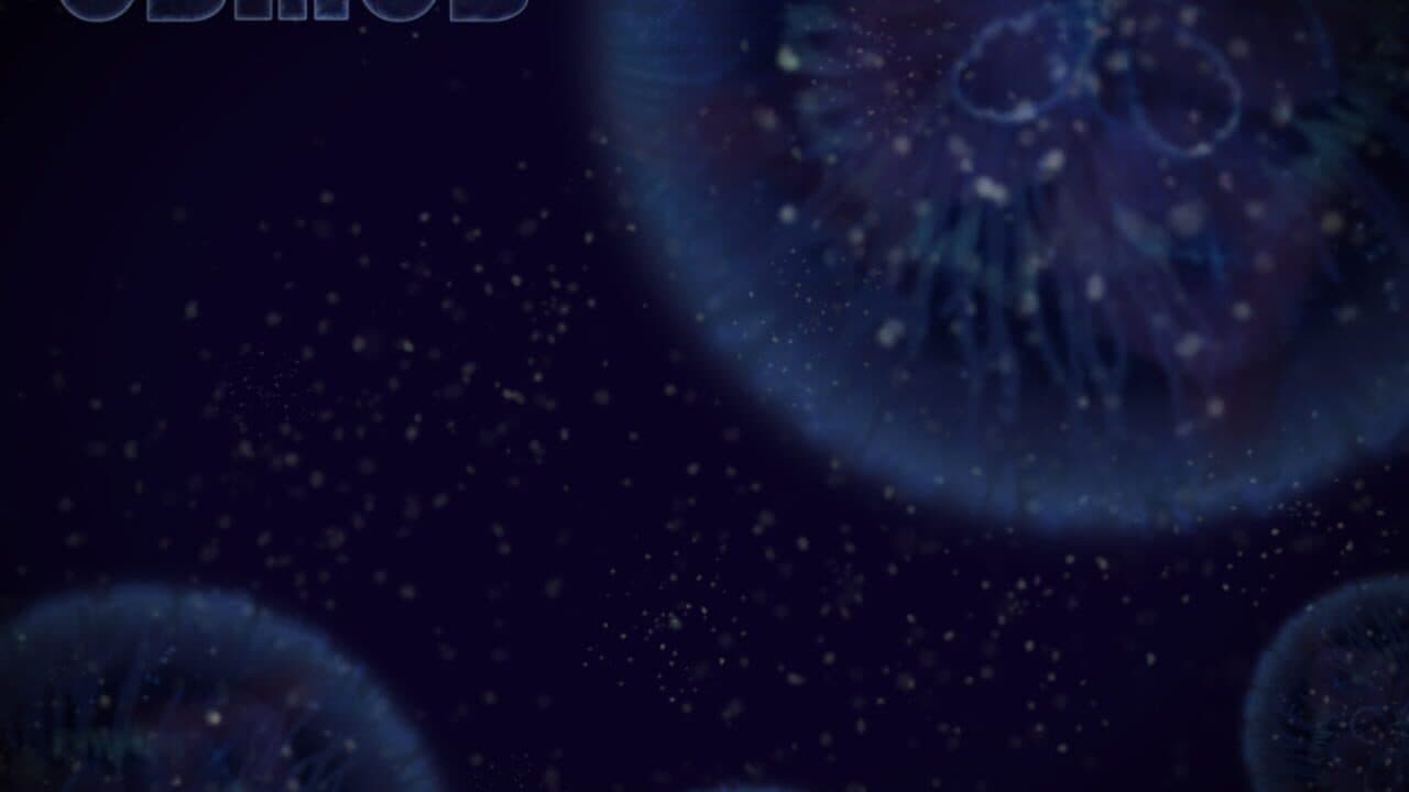 Osmos thumbnail 4
