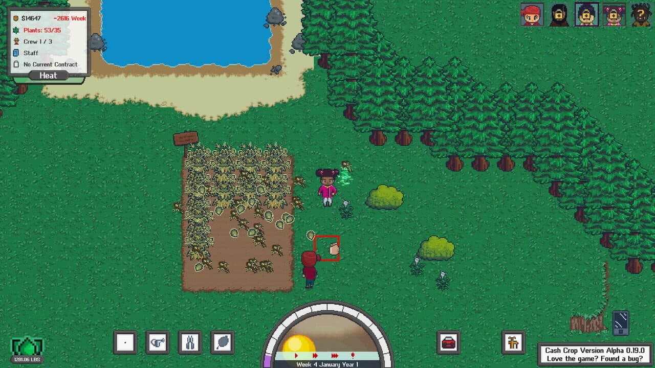 Cash Crop thumbnail 5