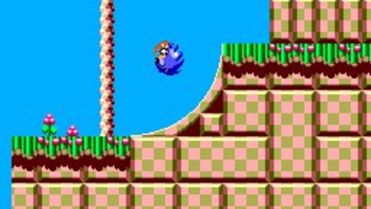 Sonic the Hedgehog Chaos thumbnail 7