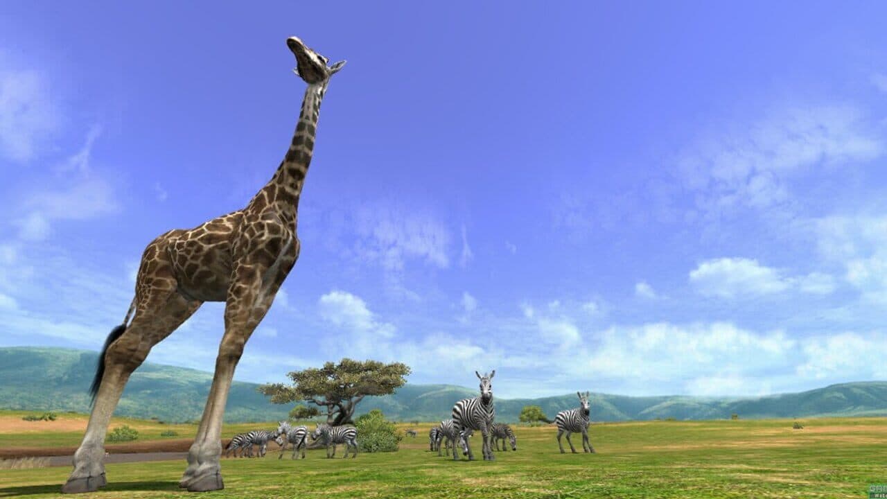 Afrika thumbnail 2