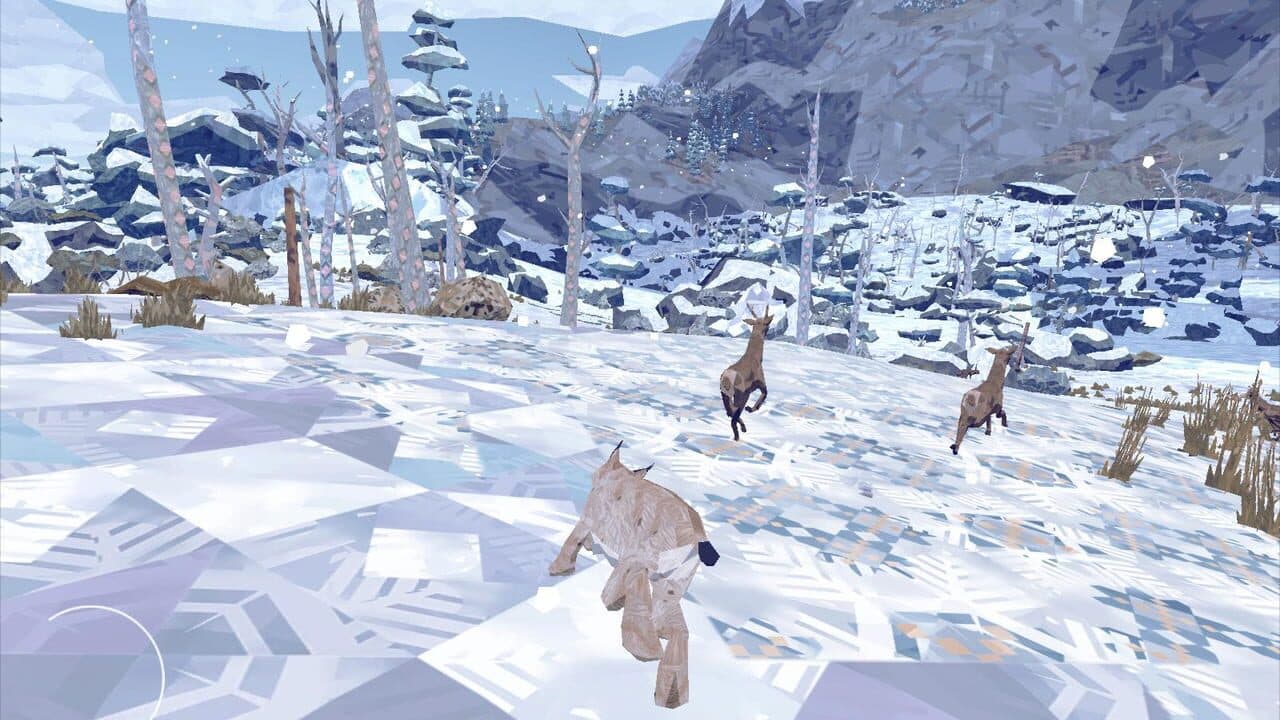 Shelter 2 thumbnail 3