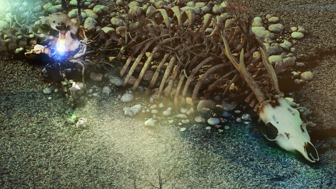 Beautiful Desolation thumbnail 5