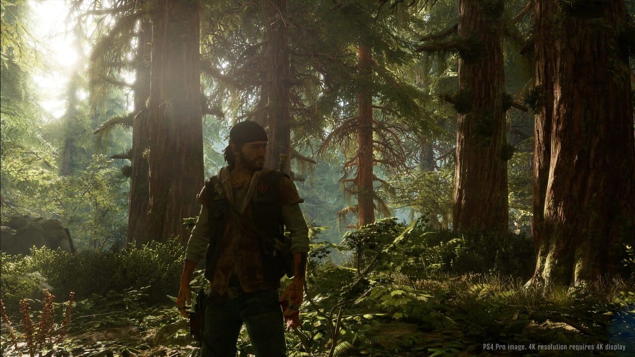 Days Gone thumbnail 6