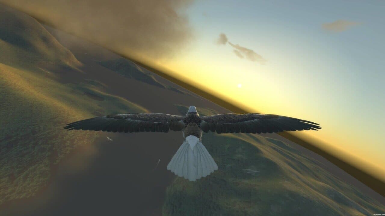 Aquila Bird Flight Simulator thumbnail 3
