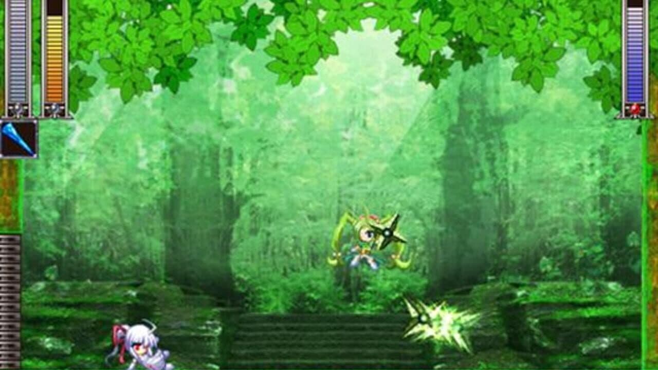 Rosenkreuzstilette Freudenstachel thumbnail 5