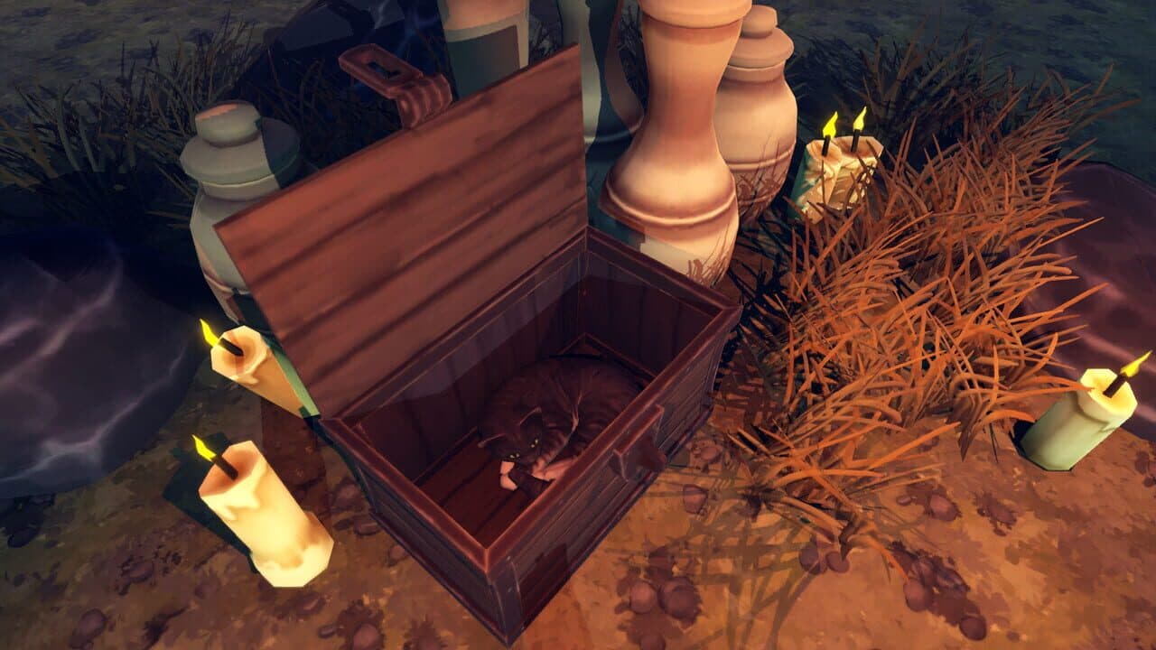 Hidden Paws Mystery thumbnail 4