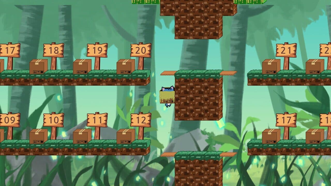 Box Cat thumbnail 5
