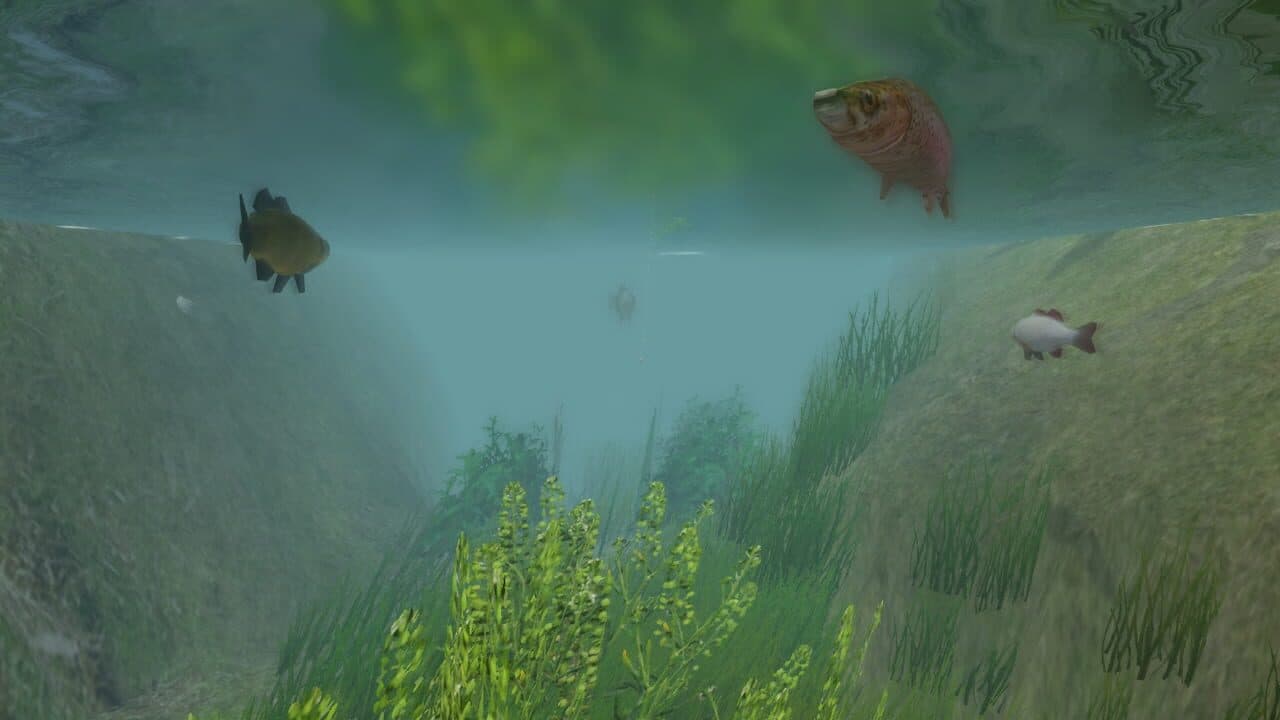 European Fishing thumbnail 3