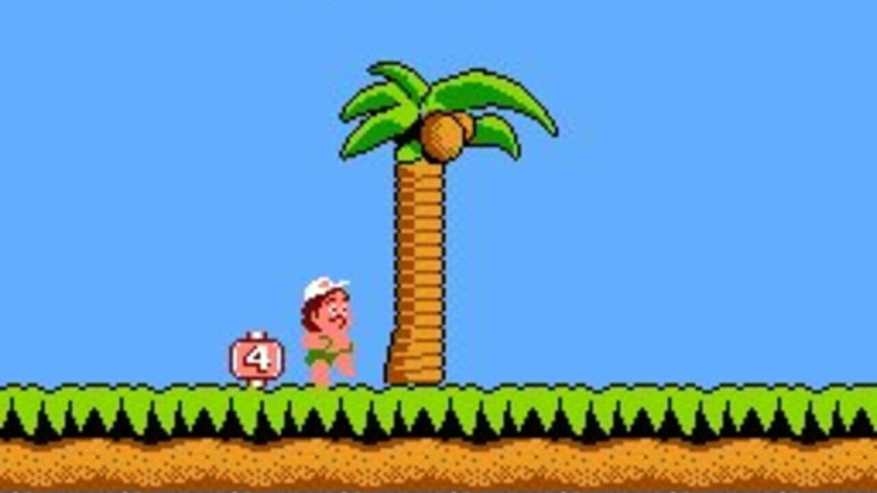 Hudson's Adventure Island thumbnail 5