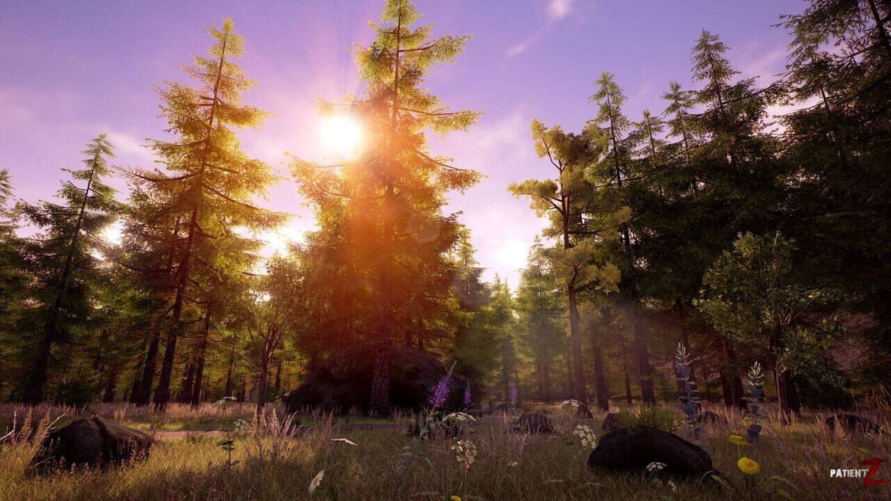 PatientZ: Survivalist thumbnail 2