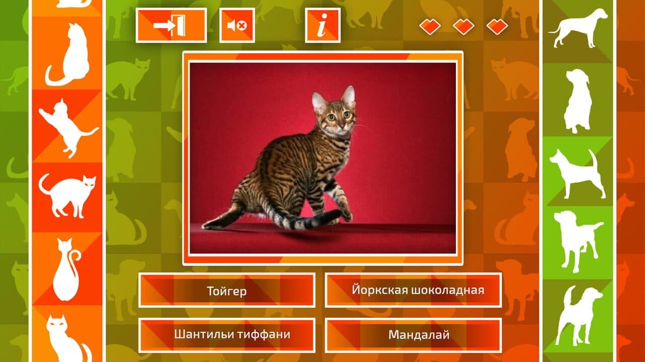 JQ: dogs & cats thumbnail 2