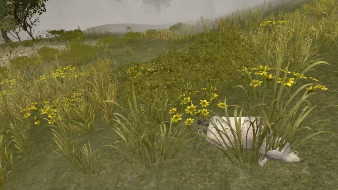 Wild Game Hunter VR thumbnail 5